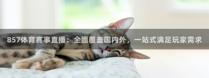 857体育赛事直播：全面覆盖国内外，一站式满足玩家需求