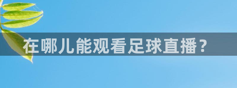 在哪儿能观看足球直播？