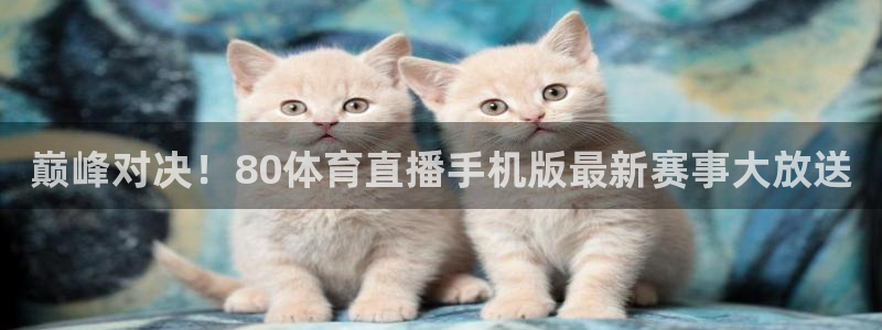 巅峰对决！80体育直播手机版最新赛事大放送