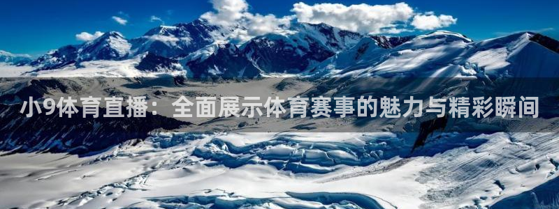小9体育直播：全面展示体育赛事的魅力与精彩瞬间