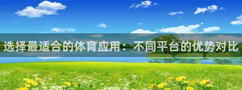 选择最适合的体育应用：不同平台的优势对比