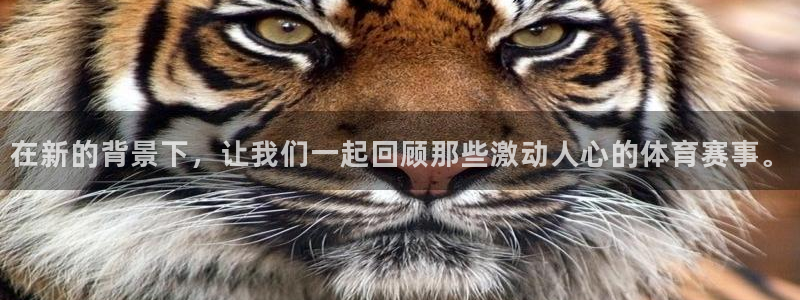 在新的背景下，让我们一起回顾那些激动人心的体育赛事。