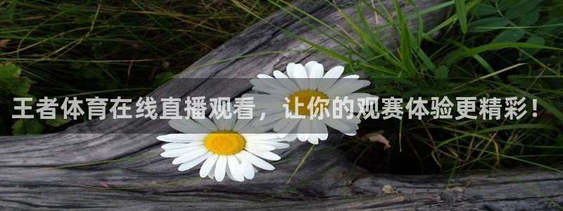 王者体育在线直播观看，让你的观赛体验更精彩！