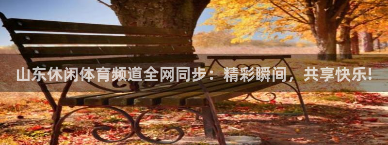 山东休闲体育频道全网同步：精彩瞬间，共享快乐!