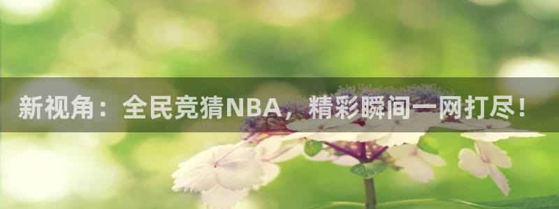 新视角：全民竞猜NBA，精彩瞬间一网打尽！