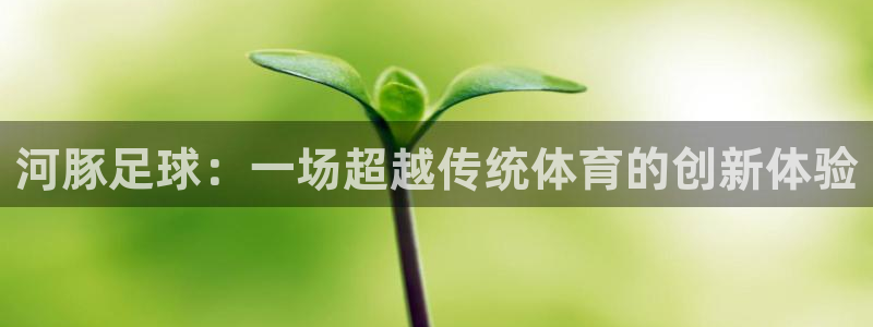 河豚足球：一场超越传统体育的创新体验