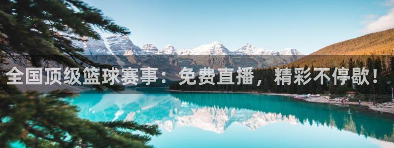 全国顶级篮球赛事：免费直播，精彩不停歇！