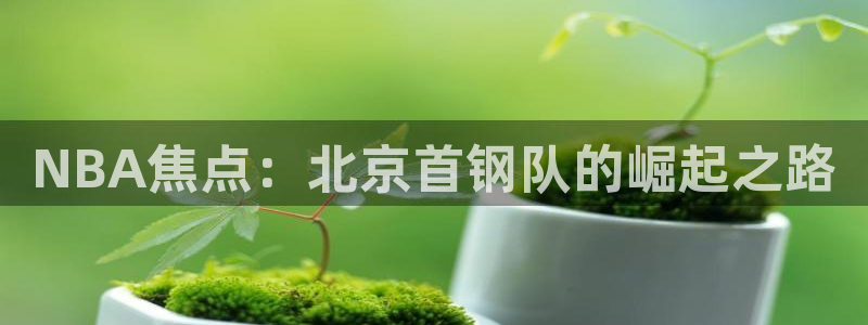 NBA焦点：北京首钢队的崛起之路