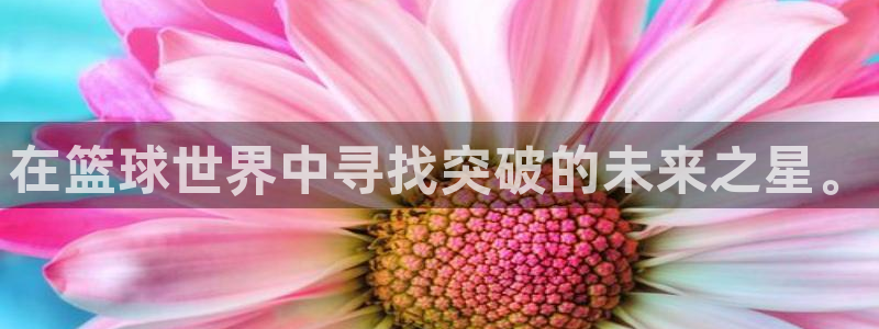 在篮球世界中寻找突破的未来之星。