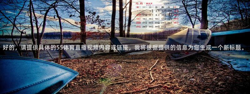 好的，请提供具体的55体育直播视频内容或链接，我将根据提供的信息为您生成一个新标题。