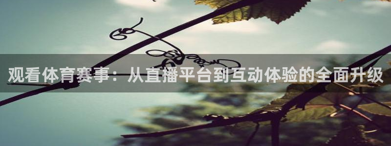 观看体育赛事：从直播平台到互动体验的全面升级