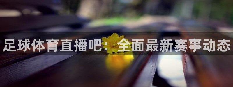 足球体育直播吧：全面最新赛事动态