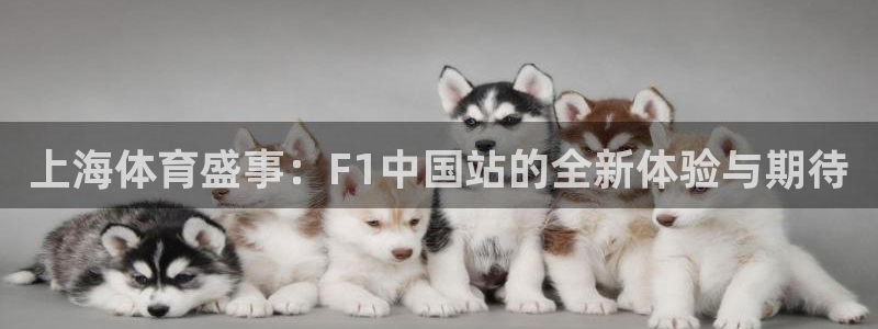 上海体育盛事：F1中国站的全新体验与期待