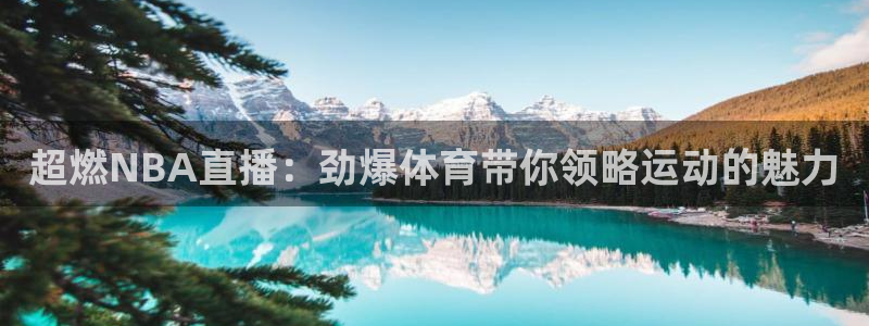 超燃NBA直播：劲爆体育带你领略运动的魅力