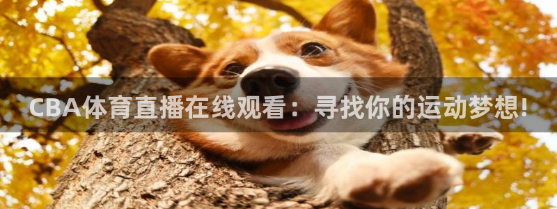 CBA体育直播在线观看：寻找你的运动梦想!