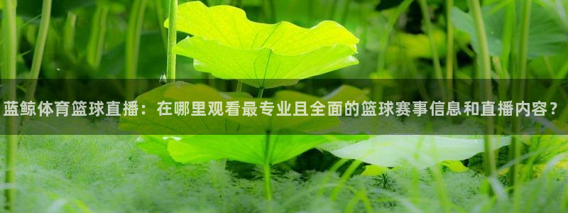 蓝鲸体育篮球直播：在哪里观看最专业且全面的篮球赛事信息和直播内容？
