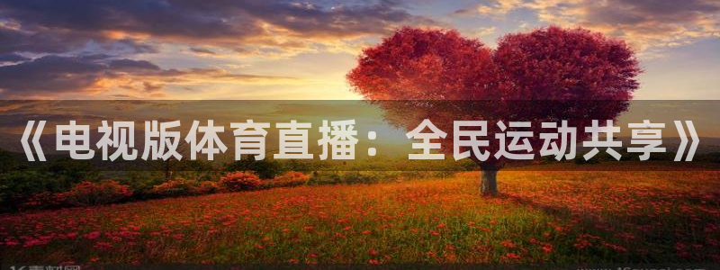 《电视版体育直播：全民运动共享》