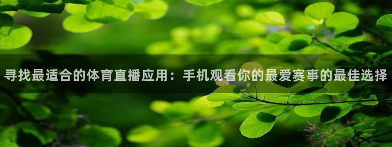 寻找最适合的体育直播应用：手机观看你的最爱赛事的最佳选择