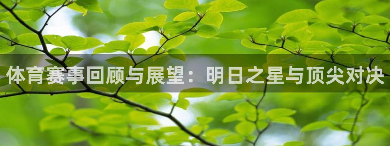 体育赛事回顾与展望：明日之星与顶尖对决