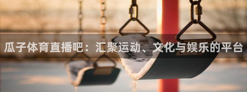 瓜子体育直播吧：汇聚运动、文化与娱乐的平台