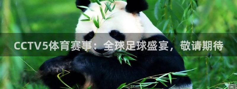 CCTV5体育赛事：全球足球盛宴，敬请期待