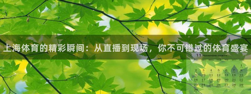 上海体育的精彩瞬间：从直播到现场，你不可错过的体育盛宴