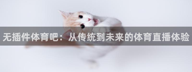 无插件体育吧：从传统到未来的体育直播体验