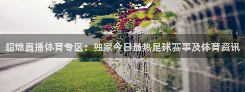 超燃直播体育专区：独家今日最热足球赛事及体育资讯