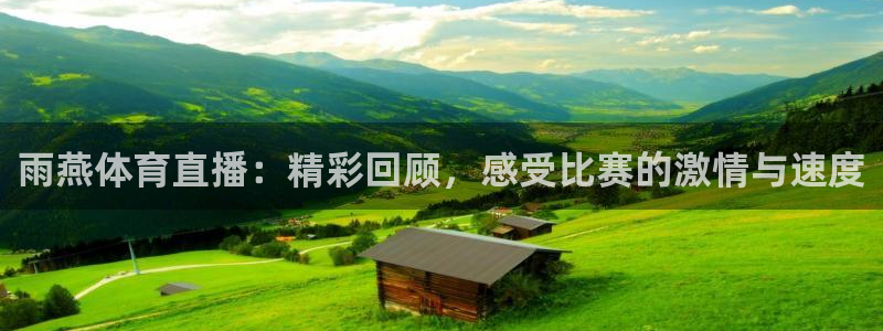 雨燕体育直播：精彩回顾，感受比赛的激情与速度