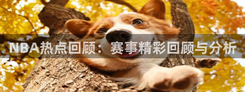 NBA热点回顾：赛事精彩回顾与分析