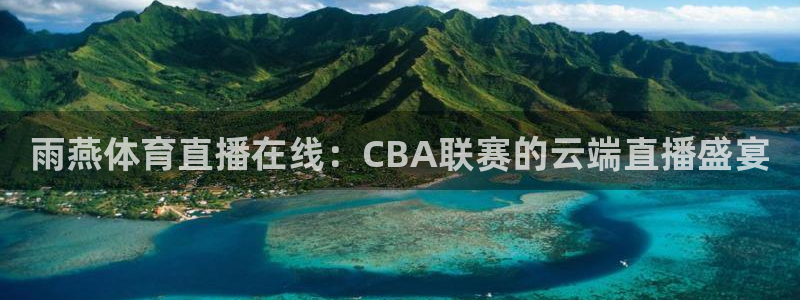 雨燕体育直播在线：CBA联赛的云端直播盛宴