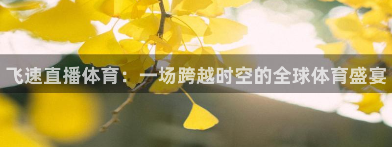 飞速直播体育：一场跨越时空的全球体育盛宴