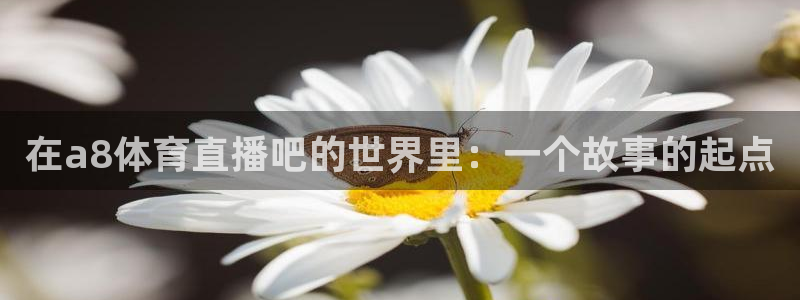 在a8体育直播吧的世界里：一个故事的起点