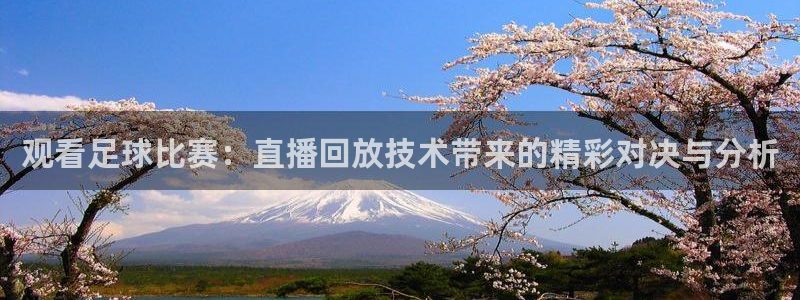 观看足球比赛：直播回放技术带来的精彩对决与分析